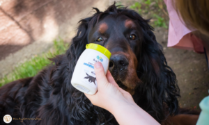 A HerbArting a babák és érzékeny bőrű felnőttek mellett, a négylábú családtagokra is gondol. Forrás: HerbArting / saját szerkesztés