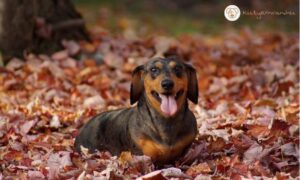 Így készülj fel az őszi átmenetre!
