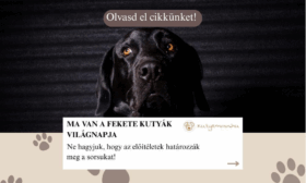 Ma van a Fekete Kutyák Világnapja
