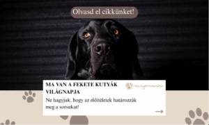 Ma van a Fekete Kutyák Világnapja