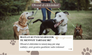 Íratlan kutyás szabályok – te mennyit tartasz be?