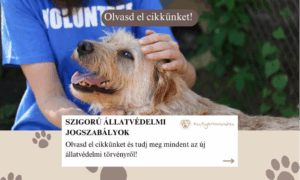 Állatvédelmi törvény 2025: új korszak kezdődik az állatvédelemben