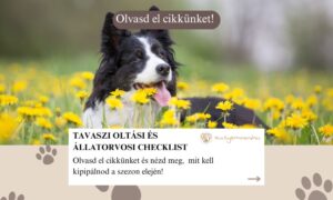tavaszi checklist