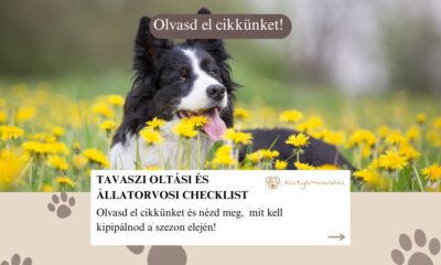 tavaszi checklist