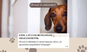 súlyos betegségek