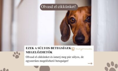 súlyos betegségek