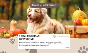 őszi finomság